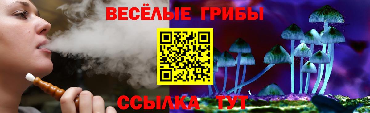 Кингисепп  Галлюциногенные грибы Psilocybine cubensis  Вход с VPN 
